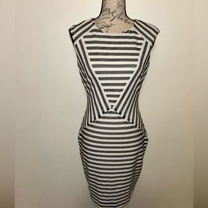 🩶Cache Double Zip Netted Dress🩶